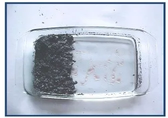 Oil absorption over microwave-exfoliated graphite