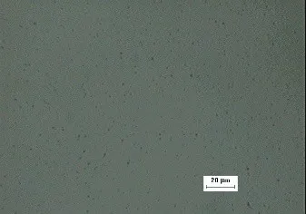 SEM micrograph for polished CVD SiC coating