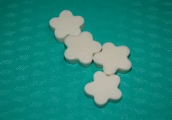 Digital photograph of gel cast sample