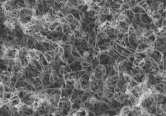 SEM micrograph of carbon nanotube-metal oxide hybrid