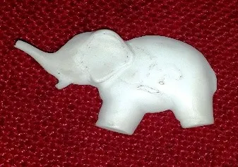 Digital photograph of gel cast sample