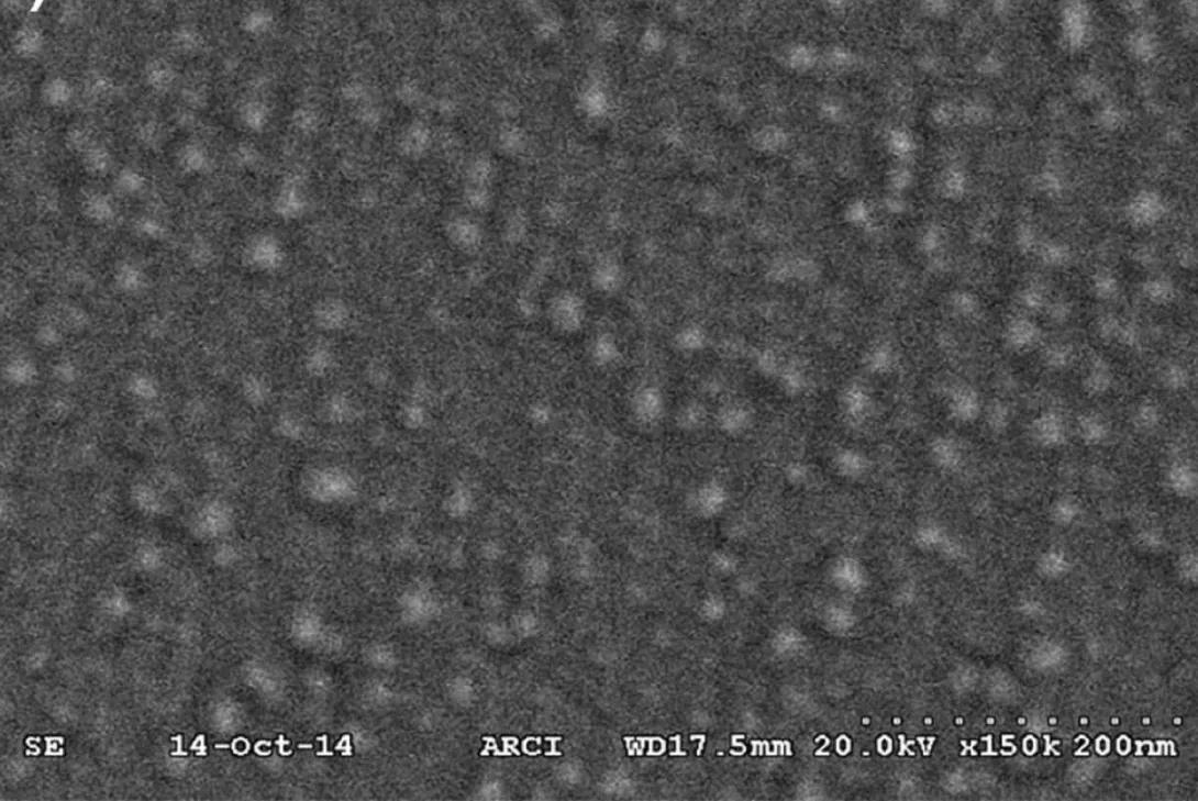 SEM image of solar control coating