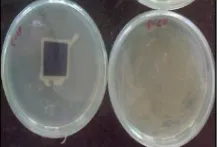 No growth of ecoli on & undermeath the fabric and indefinite growth in broth