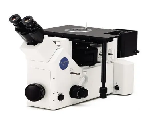 Microscope (Digital with Stream Essential Image Analysis)