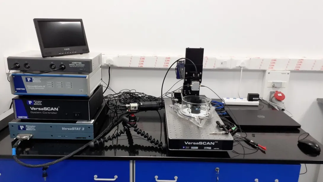 Scanning Vibrating Electrode Technique (SVET)