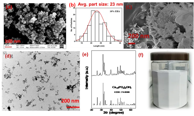 Fig. 1: a) SEM, b) particle size distribution plot of of as-synthesized HAP powders d) SEM of heat treated (700 °C-1h) of the powder, d) , e)  and f) TEM, XRD and photograph of HAP nanopowders